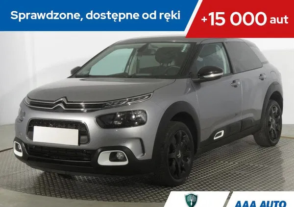 samochody osobowe Citroen C4 Cactus cena 58000 przebieg: 64186, rok produkcji 2018 z Ruda Śląska